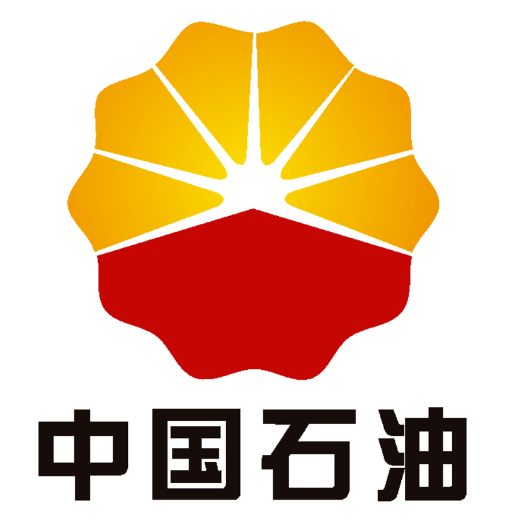 中國石油用泵案例